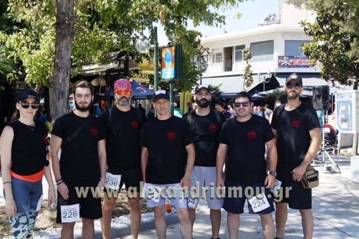 alexandriamou_1_alexandrinos_dromos146